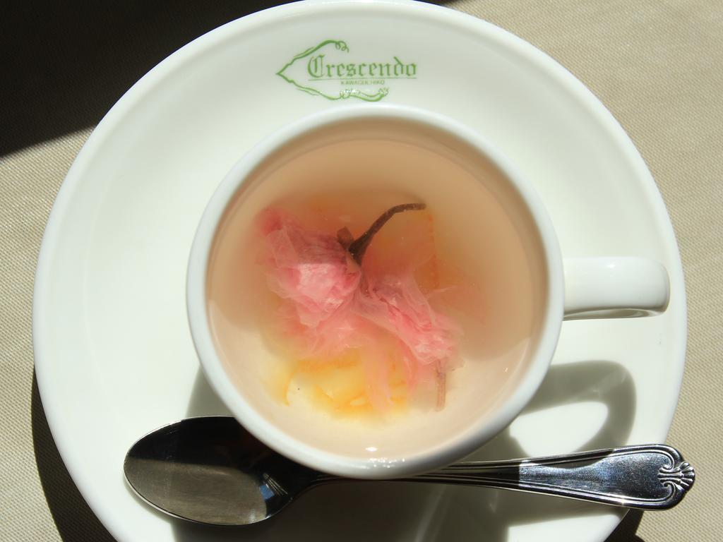 Fujikawaguchiko Crescendo Hotel Kültér fotó